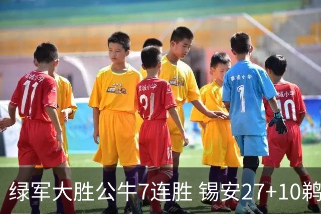 绿军大胜公牛7连胜 锡安27+10鹈鹕克火箭4连胜